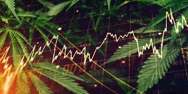 BUSINESS REFLECTION: After the Bell: The Canadian investment case for cannabis stocks has gone up in smoke