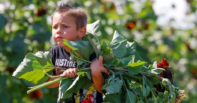 Farmers market or agritourism? One is ‘like buying local on steroids,’ farmer says