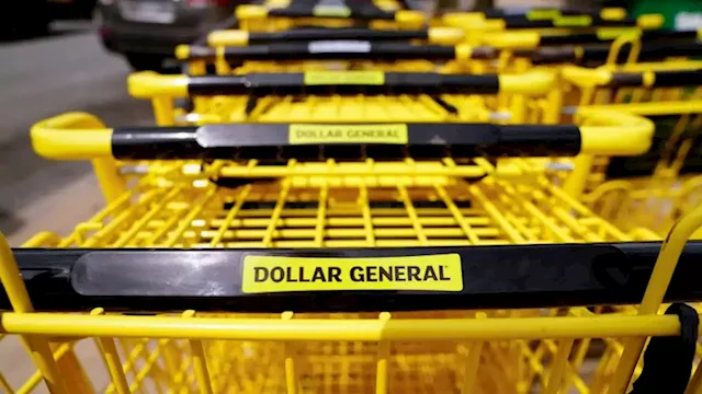 Dollar General's cash-strapped customers are turning to food banks, CEO says | CNN Business