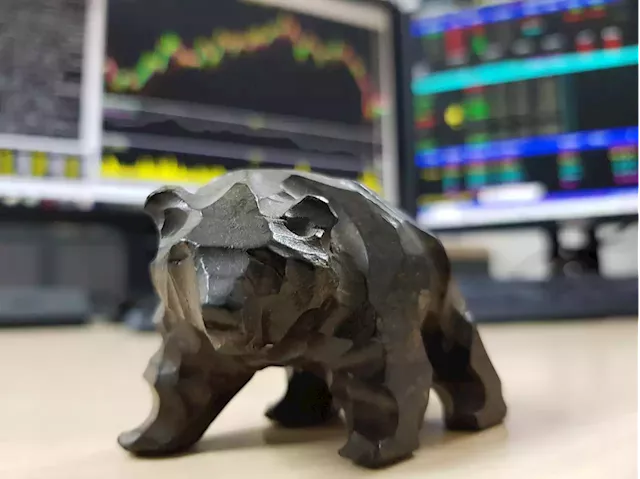 Bear Market Guide: The Different Phases And How To Invest During One