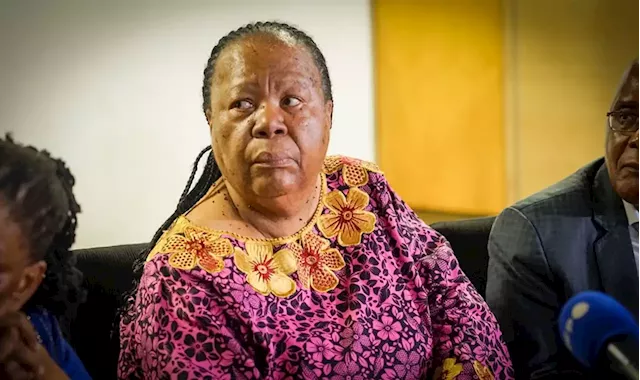 A BRICS currency may help shield countries from sanctions, says Pandor | Business