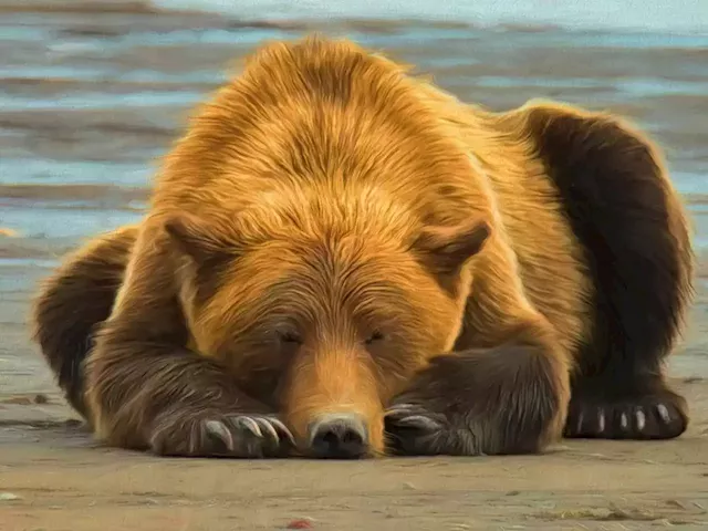 The bear market could be dead or perhaps (shh) it's only sleeping