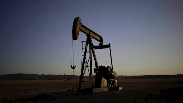 Oil steady after surprise dip in U.S. crude stocks offsets demand fears