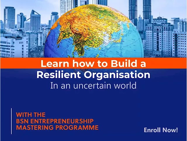 Building and sustaining business resilience with the BSN entrepreneurship mastering programme