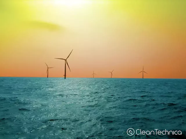 Offshore Wind Industry Readies Self For Seaweed Revolution - CleanTechnica