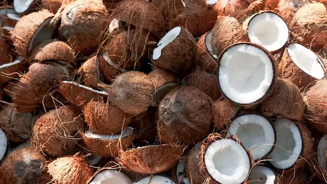 Making Extra Money Through Investment In Coconut Sales Business