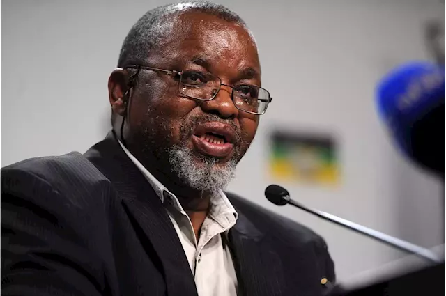 Mantashe snubs signing of European green hydrogen fund | Business