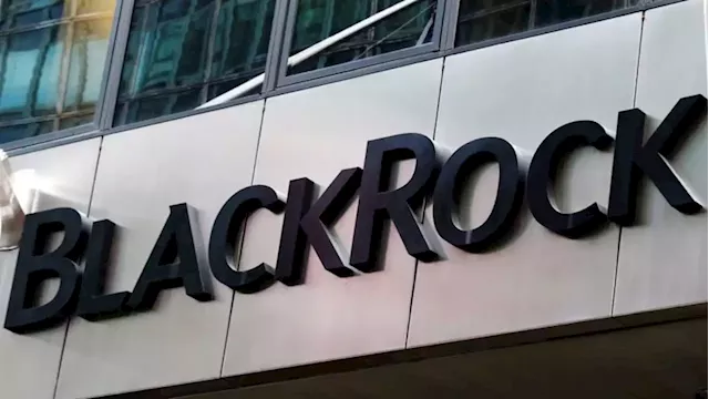 BlackRock Investment Institute sees AI as major driver of equity returns