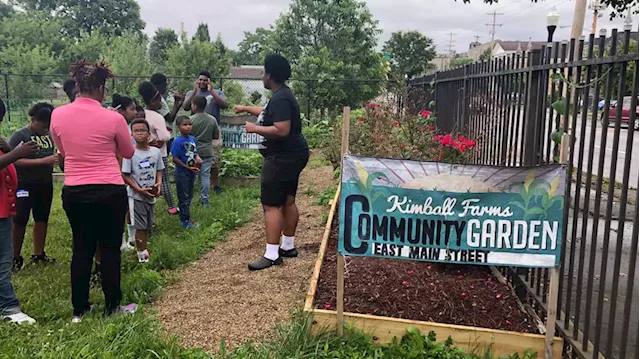 Planting seeds of peace: Will Columbus' $20 million youth investment cultivate safer streets?