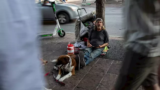 Texas business owners beg Democrat-run city ‘to end the vicious cycle’ of homelessness