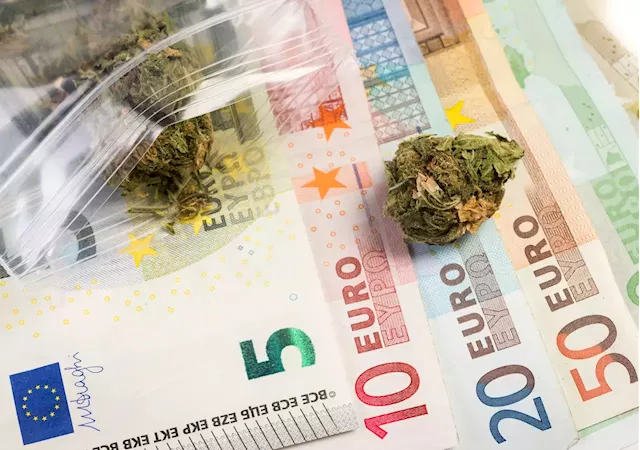 Green Horizons: The Untapped Potential of Europe's Cannabis Industry