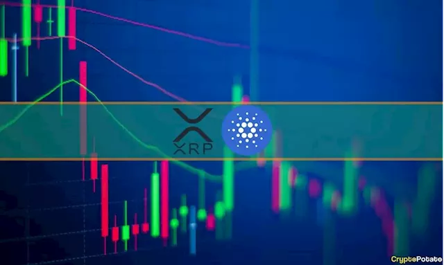 Ripple (XRP) Plummets 9% Weekly, Cardano (ADA) Follows Suit: Market Watch