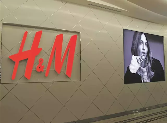 H&M shares jump 11% as summer collection boosts profit | Business