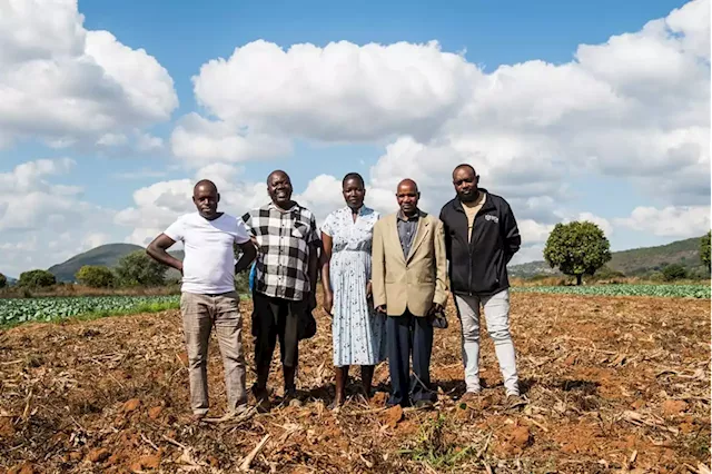 Up in smoke: The black tobacco farmers British American Tobacco left behind | Business