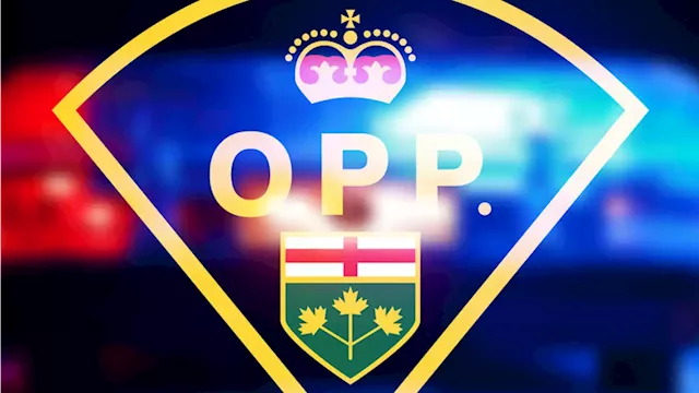 Assault laid at QW business