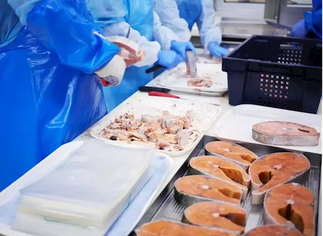 3 Seafood Companies With the Worst Food Quality Practices