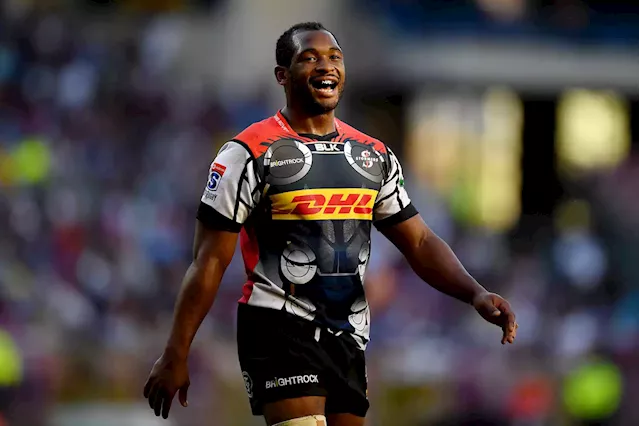 Bulls show they mean business with several new signings | The Citizen