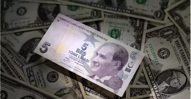 Turkish lira slips despite appointment of well-regarded finance minister