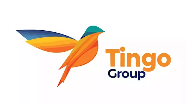 Tingo's stocks tumble amid fraud allegations