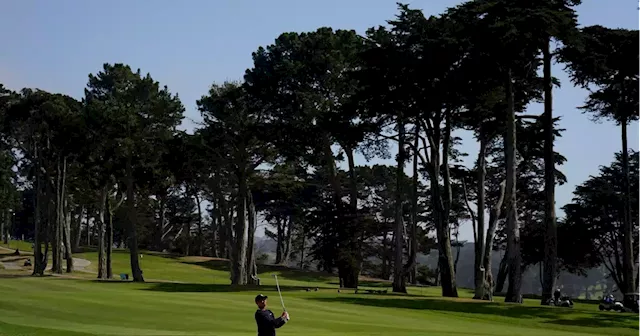 Could PGA Tour-LIV merger affect Harding Park?