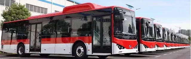 Subsidy removal: Oil marketers seek gas investment, pledge 100 mass transit CNG buses | TheCable