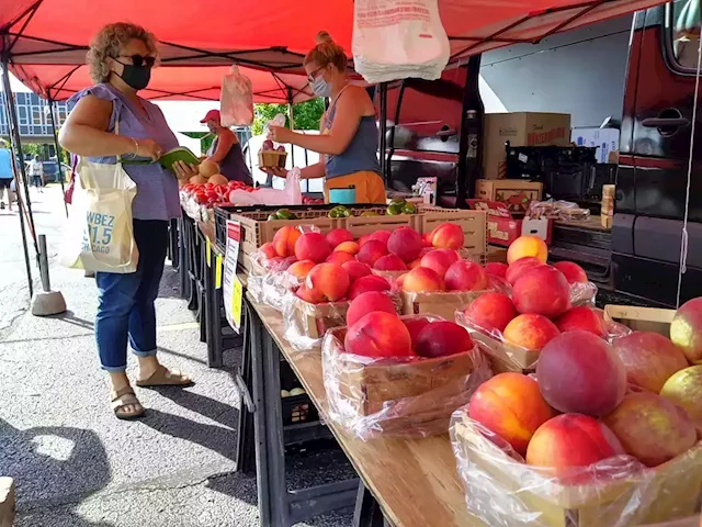 Cream of the crop: Aurora farmers market, state's oldest, opens this weekend