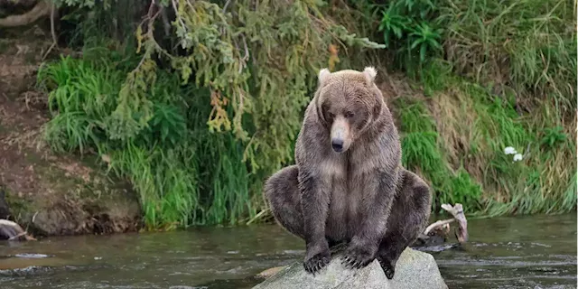 Stocks would fall right back into a bear market if they adopted economic view of bond market, JPMorgan says