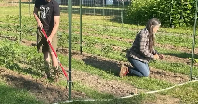 Lorain County couple turns gardening hobby into full-scale farming business