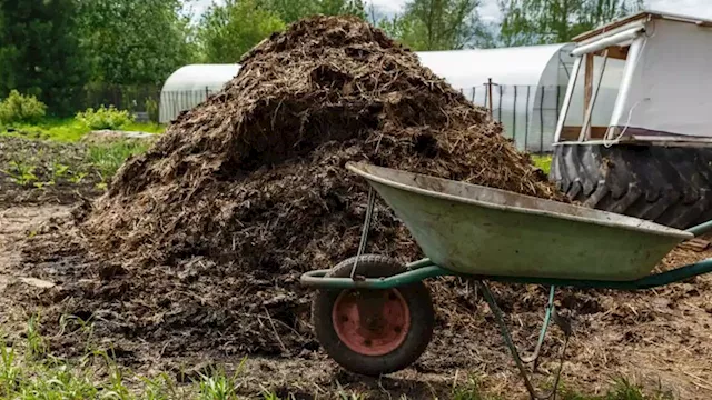 California man sentenced to over 6 years in prison for $8.7 million cow manure Ponzi scheme, US attorney's office says | CNN Business