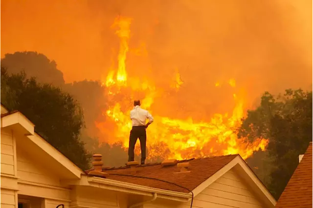 The planet’s burning. Can the Global South save it? | Business