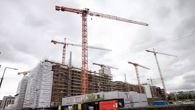 Issues at An Bord Pleanála ‘undermining’ planning profession, industry body says