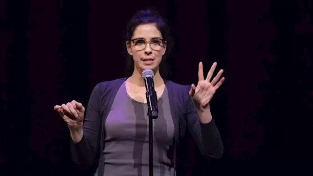 Sarah Silverman sues OpenAI and Meta alleging copyright infringement | CNN Business