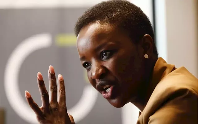 Lady R could be 'final nail in SA's coffin', but business won't give up: BLSA's Mavuso | Business