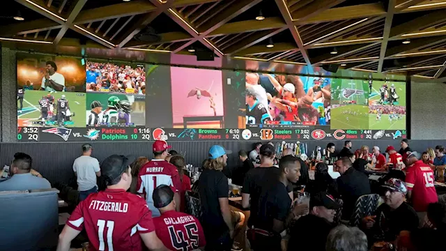 Gamblers have wagered billions on sports in Arizona in 2023. These companies dominate the market