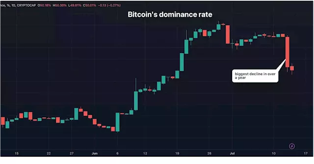 Bitcoin's Crypto Market Dominance Slides by Most in 13 Months as XRP Court Ruling Spurs 'Alt Season' Talk