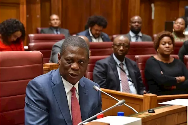 We are still trying to persuade Putin not to come - Mashatile | Business