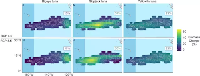 Climate change to drive increasing overlap between Pacific tuna fisheries and emerging deep-sea mining industry - npj Ocean Sustainability