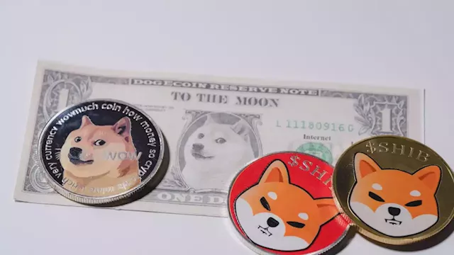 Biggest Movers: SHIB up 7% on Saturday, as DOGE Moves to 2-Month Peak – Market Updates Bitcoin News