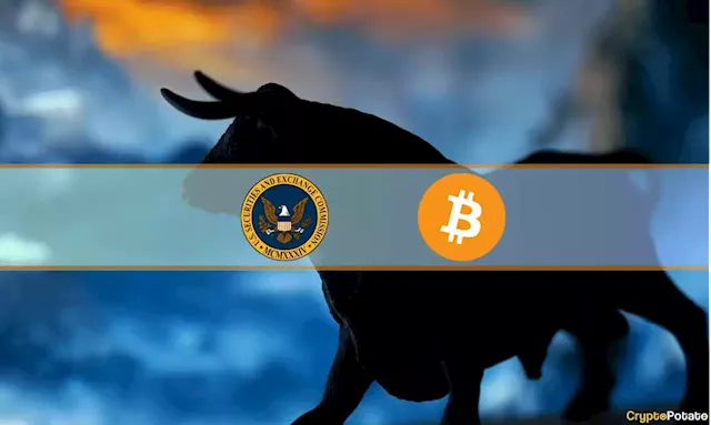 Unpopular Opinion: Is the SEC the Key Behind the Next Crypto Bull Market?