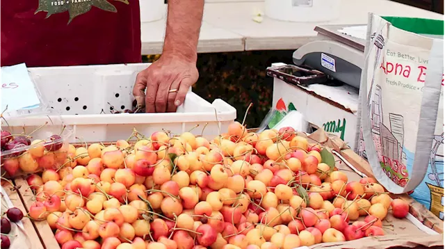 Discover your favorite new PNW farmers market with this list