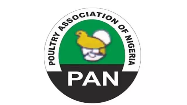 25m Jobs At Stake As Nigeria's Poultry Industry Faces Collapse - PAN