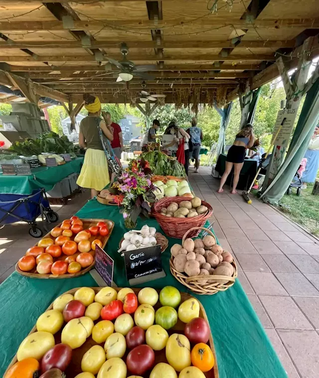 “Common Good City Farm has expanded their Wednesday’s Farmers Market, and it’s really impressive!” - PoPville