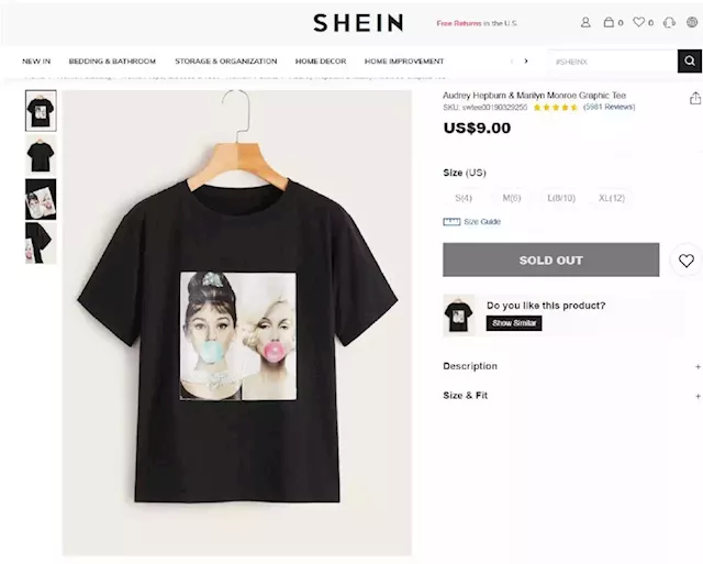 Artist Michael Moebius Is Suing Fast Fashion Retailer Shein in a Landmark Case for Artists Going After Multinational Companies | Artnet News