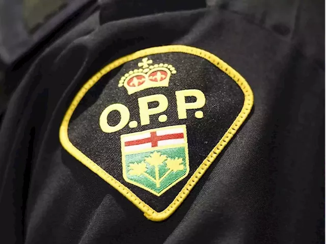 Five people charged with defrauding Ontario's business relief programs