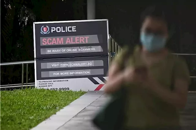 At least $25.5 million lost to investment scams since June