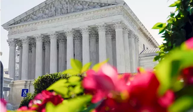 Supreme Court gave big wins to small business