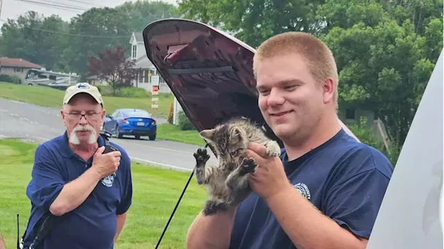 Strinestown Fire Company rescues cat trapped in car engine