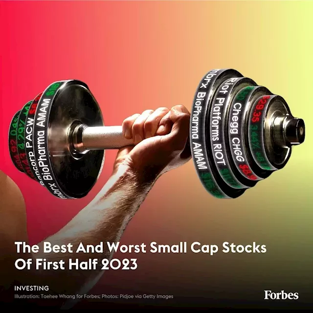 The Best And Worst Small Cap Stocks Of First Half 2023