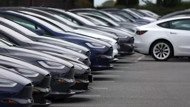 Tesla profits climb despite price cuts | CNN Business