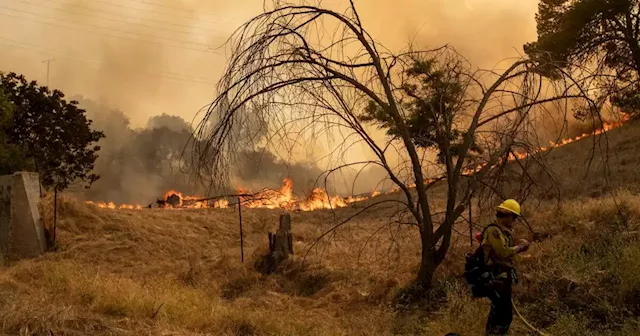 Letters to the Editor: 'Eyeball-stinging heat' — fossil fuel companies are doing this to us